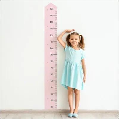 Quelle taille peut faire le geai bleu ?