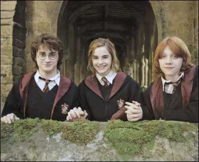 Qui est soupçonné par Harry, Ron et Hermione comme étant celui qui cherche la Pierre philosophale ?