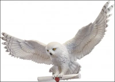 Quelle est l'adresse de Harry Potter ? (En anglais)