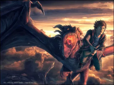 En quoi Cedric Diggory a-t-il transformé une pierre pour aller chercher son uf de dragon ?