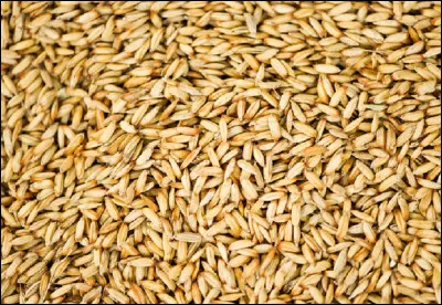 Quel est le nom de ce riz à l'état brut, non décortiqué et qui a conservé sa balle après battage ?