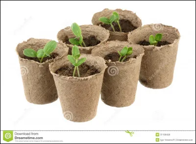 Donne du travail au menuisier, c'est le...