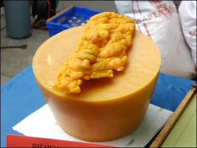 Méprisé s'il est triste, c'est le...