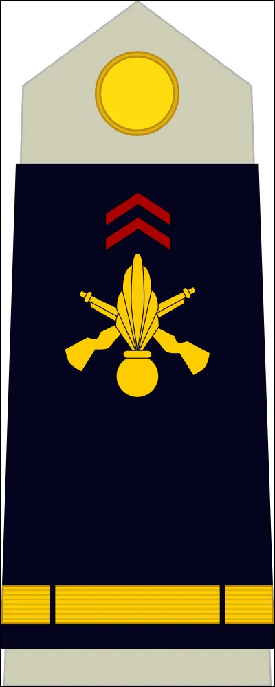 Connu pour être gonflé, c'est le...