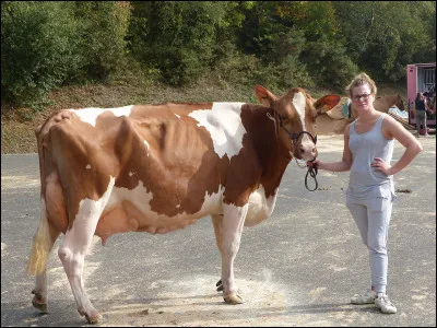Chante en papillotes, c'est la...