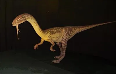 Comment s'appelle ce dinosaure ?