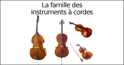 Quels sont les trois types d’instruments à cordes ?