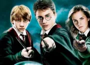 Quiz Les thories ''Harry Potter''