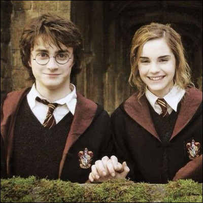 Nous allons parler de la plus connue et que l'écrivaine n'a ni écarté ni validé, elle reste un mystère. 
Hermione serait la s&oelig;ur de Harry. Mais il y a 2 raisons, qui selon les Potterheads, expliqueraient cela. Lesquelles ?