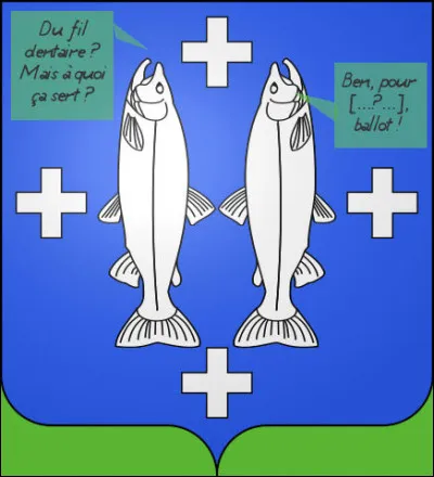 Hygiène buccale chez les Cyprinidés*.