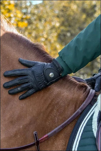 Cochez les aides artificielles :