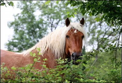 À pied, lorsque vous voulez changer de côté, vous :