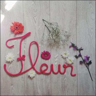 La Sainte Fleur est le :