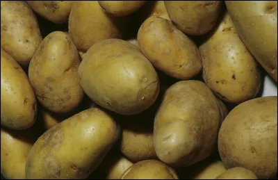 Quelle Sainte est fêtée le 17 juillet ?