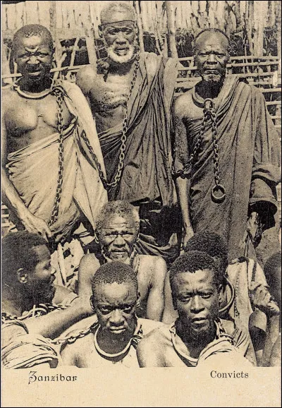 Contre quoi sont &eacute;chang&eacute;s les esclaves en Am&eacute;rique ?