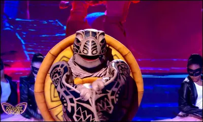 Qui se cachait sous la Tortue ?