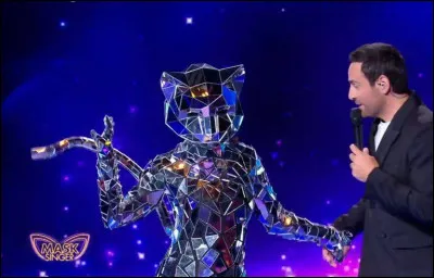 Qui se cachait sous le Chat ? (Deuxième star internationale)