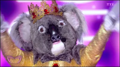 Qui se cachait sous le costume du Koala ?