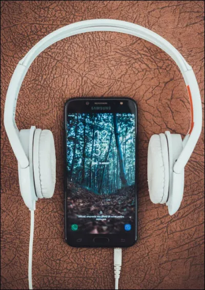 Quel style de musique écoutes-tu ?