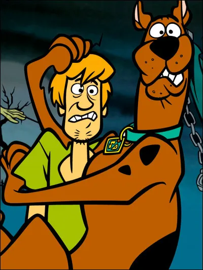 Qui est ce grand chien sympathique, gourmand et peureux, meilleur ami de Samy un grand dadais de type hippie ?