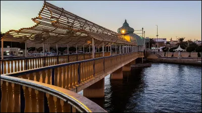 Helsinki est la capitale de...