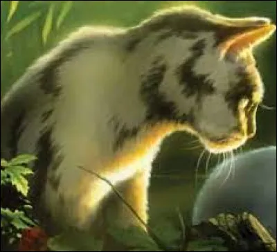 Quel est ton animal préféré ?