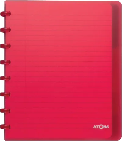 Tu vas acheter tes fournitures scolaires. Quelle sorte d'agenda ach&egrave;tes-tu ?