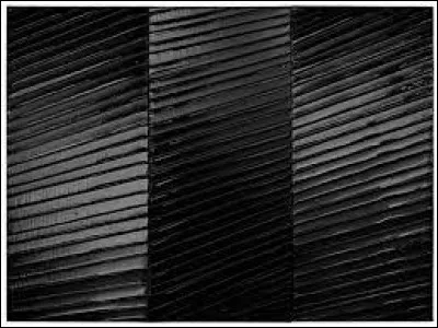 Art : Qui est ce peintre français qui ne peint que des monochromes noirs ?