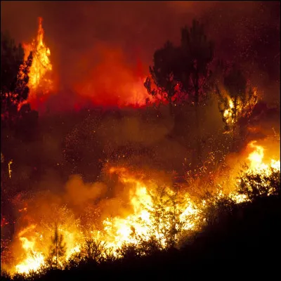 Ça te rappelle quoi ?