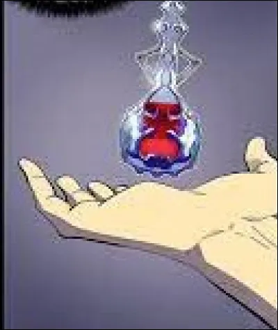 Comment s'appelle le remède permettant de sauver la mère de Sung ?