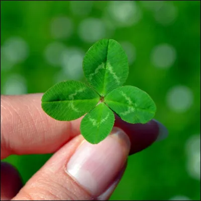 1. Quel est ton vu le plus cher ?