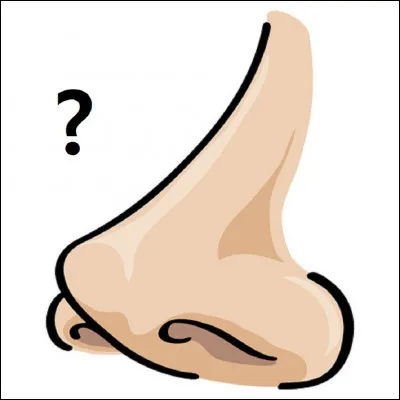 Qu'est-ce qu'un nez quand il ne s'agit pas de lappendice nasal ?