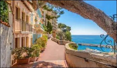 Petit, mais dense ! Quel pays compte le plus d'habitants au km² ?