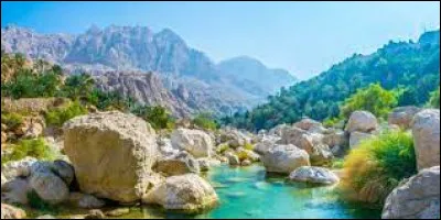 Ils ne rigolent pas ! Quel pays dépense le plus haut pourcentage de son PIB dans son armée ?