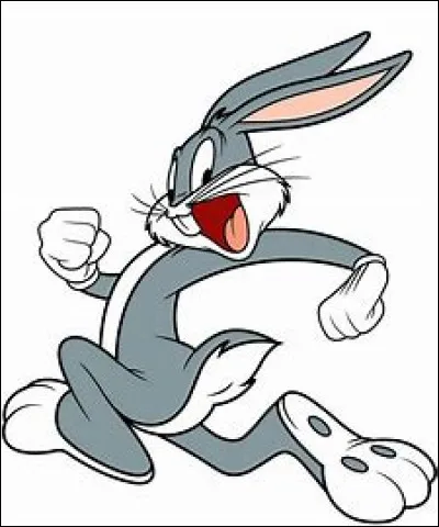 Il s'appelle Pierre Lapin.