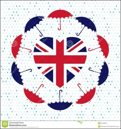 Quelle matière se cache derrière cette image ?