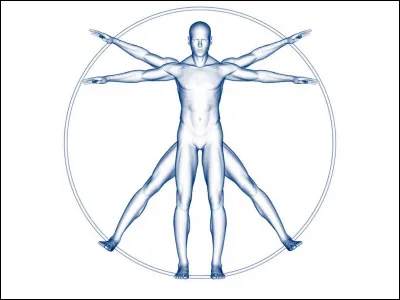 Science : Comment appelle-t-on la tunique vasculaire de l'oeil comprenant la choroïde, l'iris et le corps ciliaire ?
