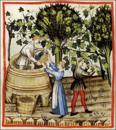 O&ugrave; pouvait-on voir un vierg ?