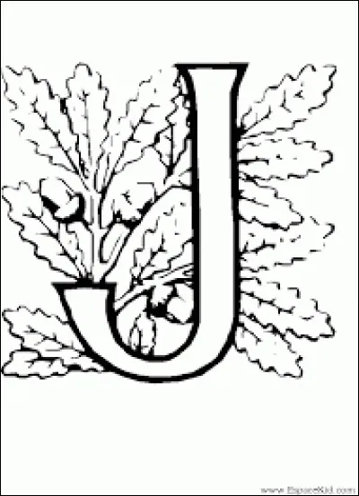 De quel pays la ville de Jérusalem est-elle la capitale ?