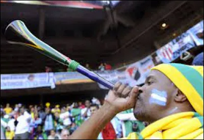 Musique : Quel est cet instrument de musique ?