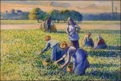 Quel peintre impressionniste puis néo-impressionniste est l'auteur de ce tableau intitulé ''La Cueillette des Pois'' ?