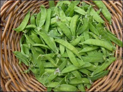 Quel est le nom de cette espèce de pois ?