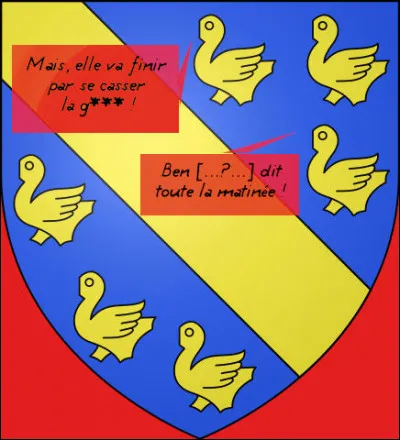 Ah ! Si jeunesse savait !