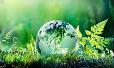 Quelle est cette matière scolaire ?