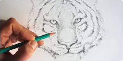 Pour dessiner, on a besoin de ceci !