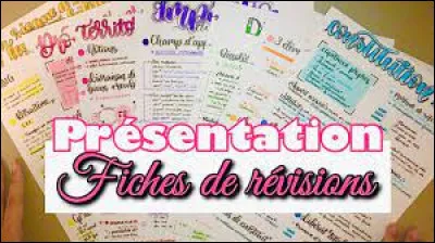 Tes fiches de cours sont mal rangées ? Tu as besoin de les classer ? Tu as sûrement besoin de ça !