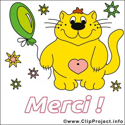 Quelle est la traduction de peau en anglais ?