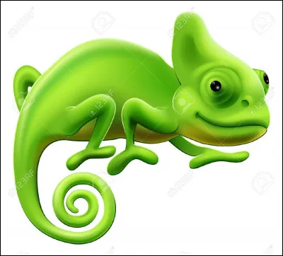Ceci est un caméléon.