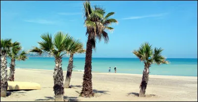 Allons en Espagne à Castellón de la Plana vous pourrez voir un ... sur la Méditerranée.