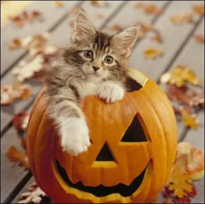 Quand est Halloween ?